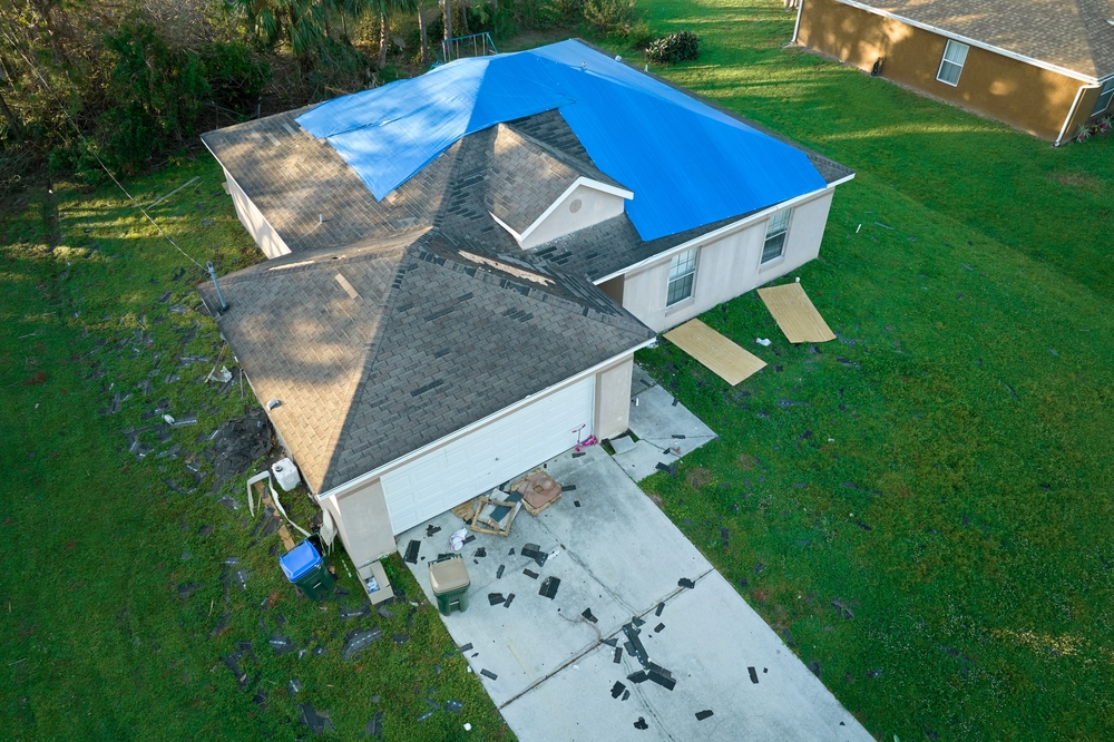 Roof Specialist